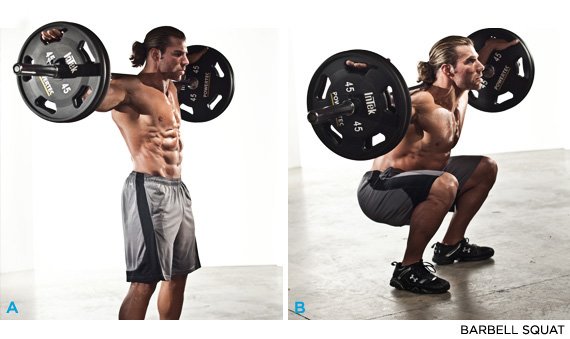 Barbell Squat