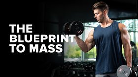 The Blueprint to Mass