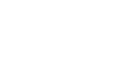 duel trainer logo